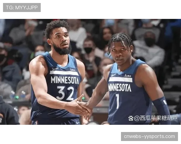 攻防效率对比:森林狼防守效率联盟第一,鹈鹕进攻前列